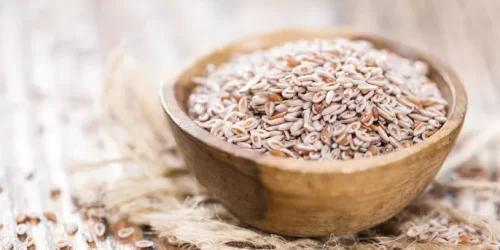 plantago-ovata_18765